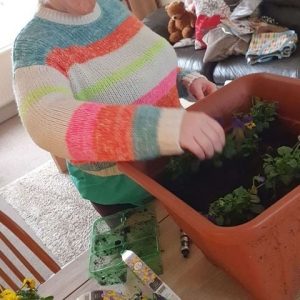 ansar stay at home activities